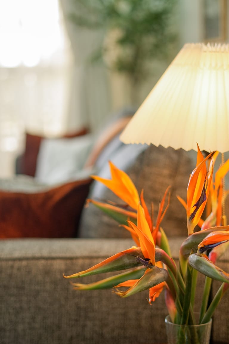 Hilltop Apartment - Image 8